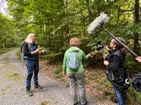 verschiedene Blattarten werden erf&uuml;hlt